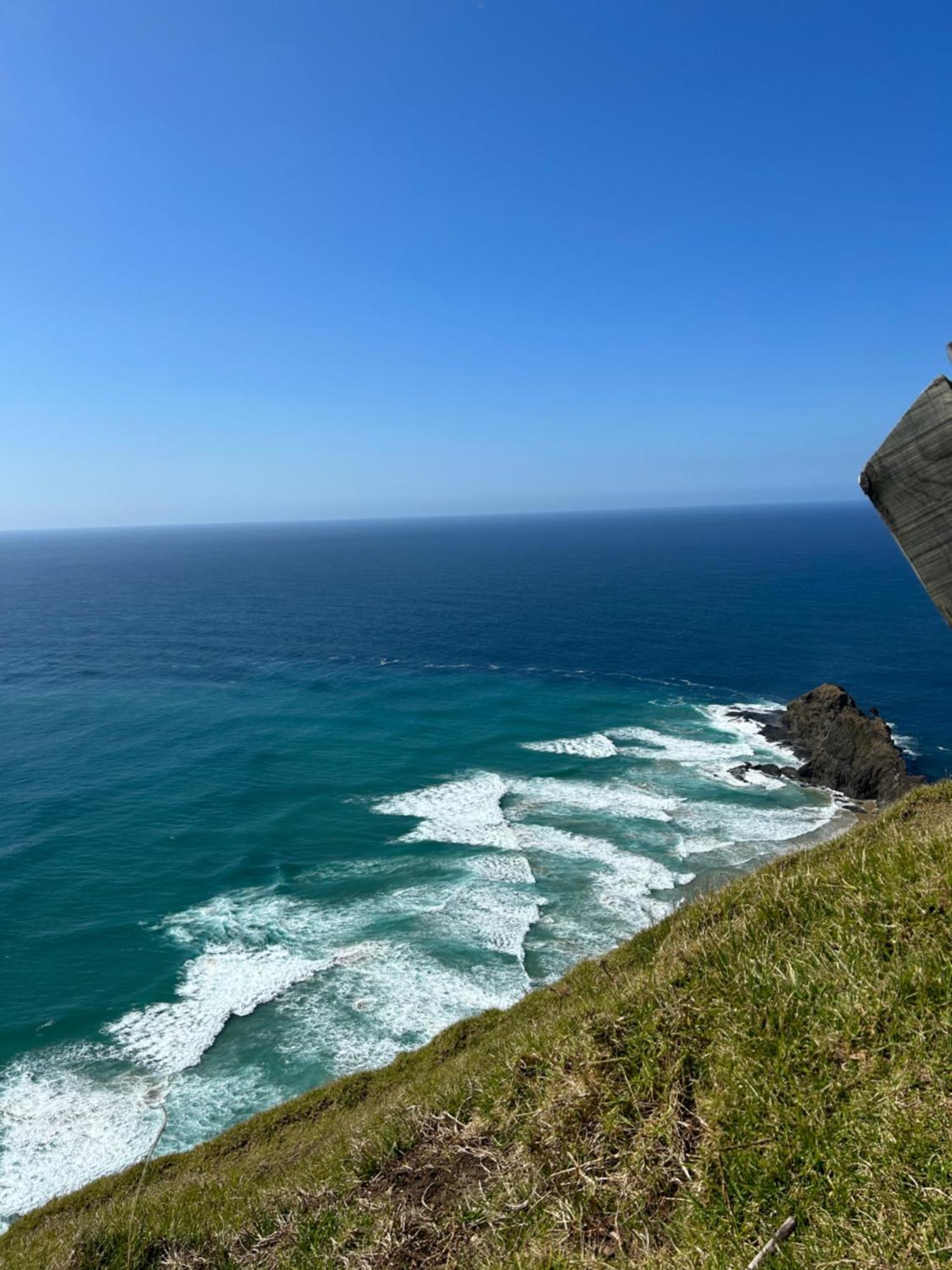 Green Turtle Cottage Pukenui Exteriér fotografie
